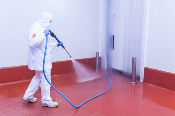 Trusted Chester, WV  Pressure Washing Services Experts